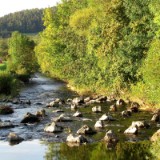 1109F 135 Trier-Paderborn